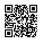 2-34124-1 QRCode