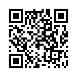 20100320021 QRCode