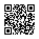 20101000021P QRCode