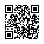 20101250431P QRCode