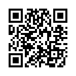 2013311-3 QRCode