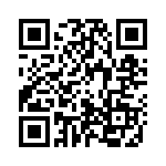 2038 QRCode