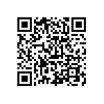 208457096013025 QRCode