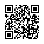 21011303013 QRCode