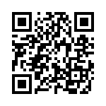 21011401013 QRCode