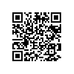 2225J0250335KXT QRCode