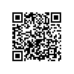 2225J2500273KCT QRCode