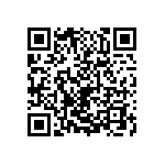 2225Y0250823KXT QRCode