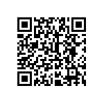 2225Y1K00223MXT QRCode