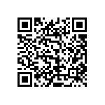 2225Y2500272GFR QRCode