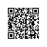 2225Y2K00333JXT QRCode