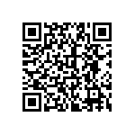 2225Y5000153KCR QRCode