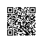 2225Y5000271KCT QRCode