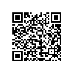 2225Y5K00391KCR QRCode