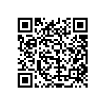 2225Y5K00471KXT QRCode