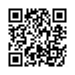 24282-31PG-300 QRCode