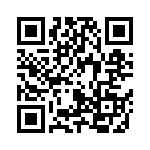 250R05L6R2BV4T QRCode