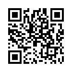 2802332 QRCode