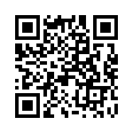 280381-2 QRCode