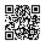 2903306 QRCode