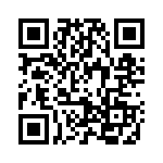 2905196 QRCode