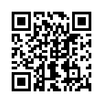 2905234 QRCode