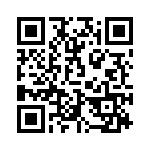 2905317 QRCode