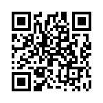 2907482 QRCode