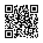 2907545 QRCode