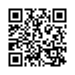 2907613 QRCode