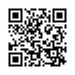 29333C QRCode