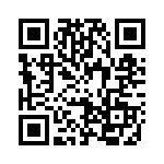 29ET17-3B QRCode