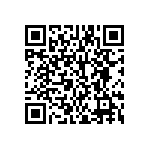 2M1-3P1-T1-B1-M1QE QRCode