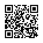 2N4091 QRCode