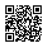 3-1761603-1 QRCode