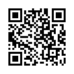 300400310015 QRCode