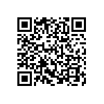 300AWSP1J1BLKM6QE QRCode