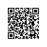 300AWSP1J6BLKVS2QE QRCode