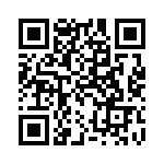 300X11209X QRCode