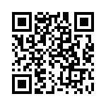 300X11379X QRCode