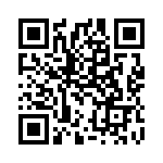 3061295 QRCode