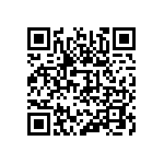 310-13-125-41-001000 QRCode