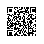 311-87-155-41-001101 QRCode