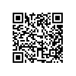 311-87-163-41-001101 QRCode