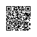 316-87-125-41-013101 QRCode