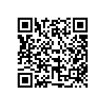 316-87-132-41-013101 QRCode