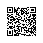 317-87-121-41-005101 QRCode