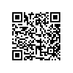 317-87-132-41-005101 QRCode