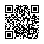 3213X203M QRCode