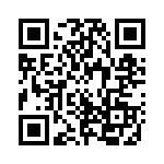 323S3S3S QRCode